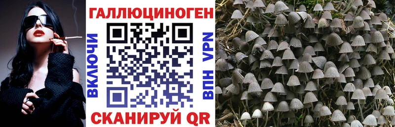 Псилоцибиновые грибы ЛСД  Купить где  Каменск-Шахтинский 